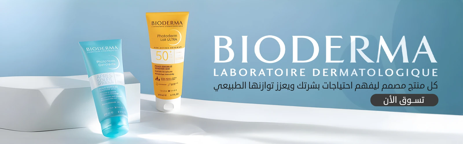 الرئيسية