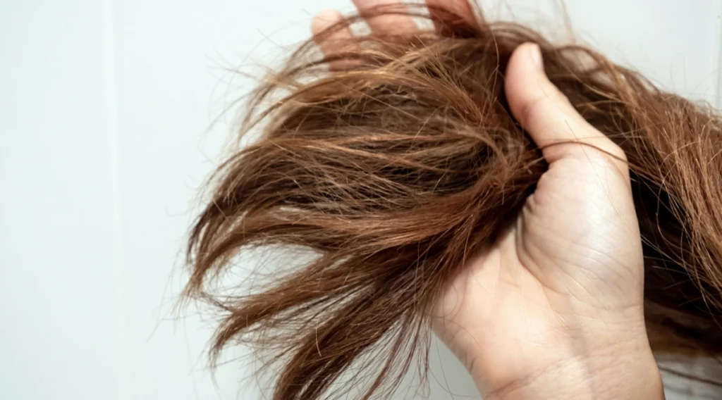 moisturizing dry hair