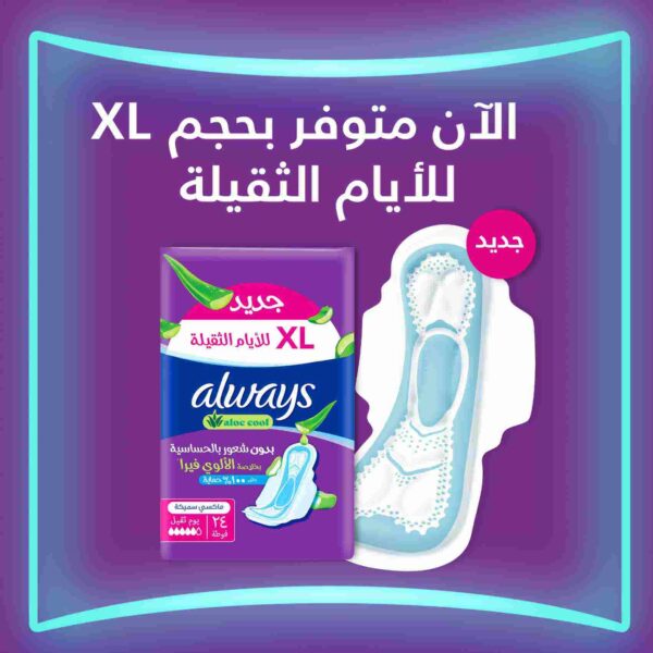 Always Aloe Cool Pads For Light Days, 50 Long Maxi Thick Pads
