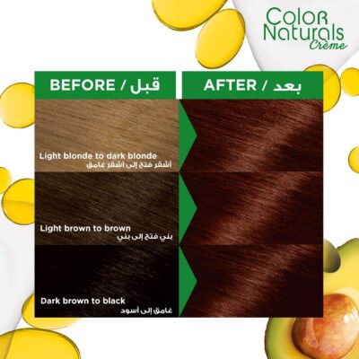 Garnier Hair Color Deep Red Brown 3.6