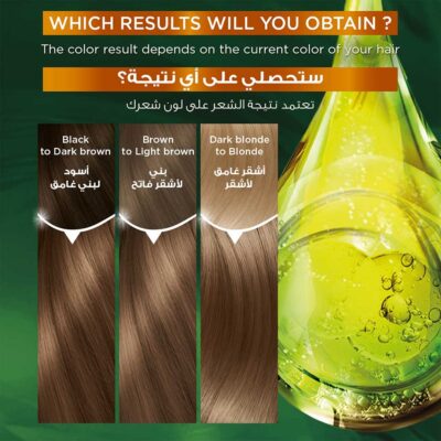 Garnier Color Naturals Creme Hair Color Light Gray Blond 8.1
