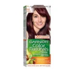 Garnier Hair Color Burgundy 4.6