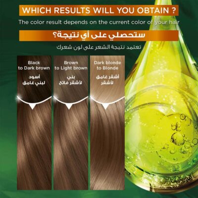 Garnier Color Naturals Nude Dark Blonde 7.132