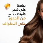 ⁦بانتين شامبو صحى و نظيف (2*1) 1000 مل⁩ - الصورة ⁦2⁩
