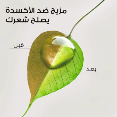 هيربال ايسنز شامبو ترطيب بخلاصة جوز هند 400 مل