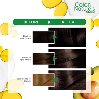 Garnier Color Naturals 4.1 Ashy Brown