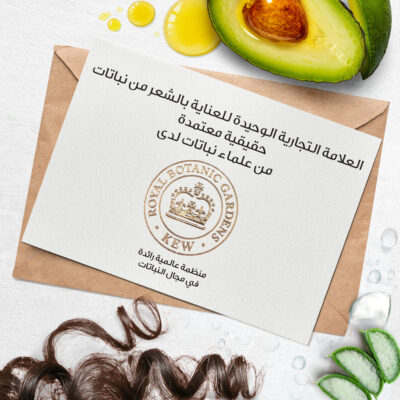 هيربال ايسنز ماسك تغذية للشعر الكيرلي بالصبار و زيت الافوكادو 250 مل