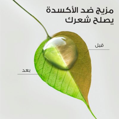 هيربال ايسنز بلسم يُترك على الشعر بخلاصة الصبار وزيت الأفوكادو 180 مل