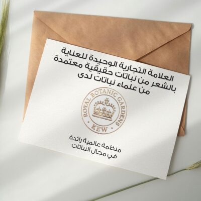 هيربال ايسنز بلسم يُترك على الشعر بخلاصة الصبار وزيت الأفوكادو 180 مل