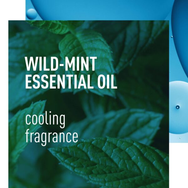 Adidas Active Skin & Mind Cool Down Men Shower Gel 250 ml