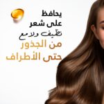 Pantene Pro-V Daily Care 2in1 Shampoo 390ml - Image 2