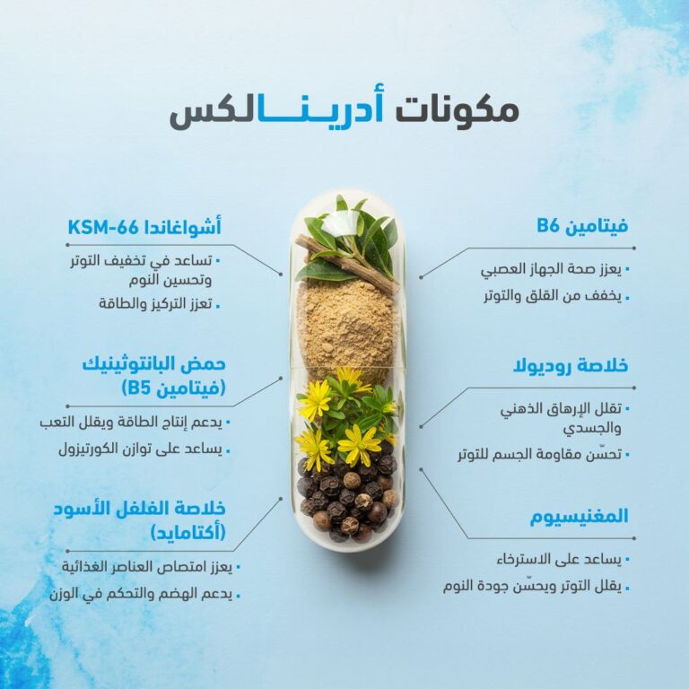 ⁦سينسيلاب غلاند لاين أدرينالكس - 60 كبسولة⁩ - الصورة ⁦4⁩