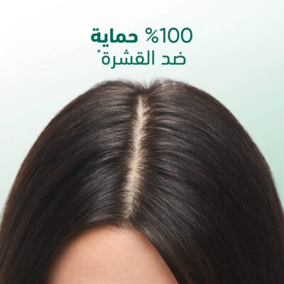 هيد آند شولدرز بير ترطيب مهدئ - خالي من السلفات - 400 مل