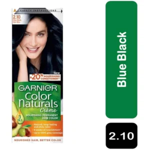Garnier Hair Color Blue Black 2.1