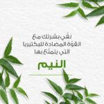 ⁦هيمالايا غسول النيم الرغوي لتنقية الوجه - 150 مل⁩ - الصورة ⁦2⁩